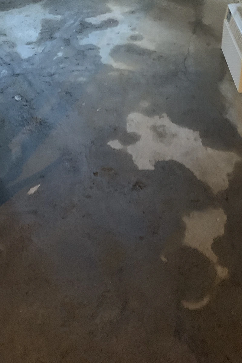 Wet Basement